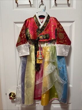 Girls' Traditional Hanbok Dress in Red and Multi-Color